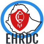 EHRDC released the 3rd assessment on the Situations of Human Rights Defenders in Ethiopia